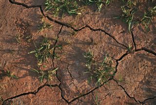 &Eacute;TICA MEDIOAMBIENTE Y SOCIEDAD: ESTRATEGIAS DE VIDA ANTE EFECTOS DEL CAMBIO CLIM&Aacute;TICO.